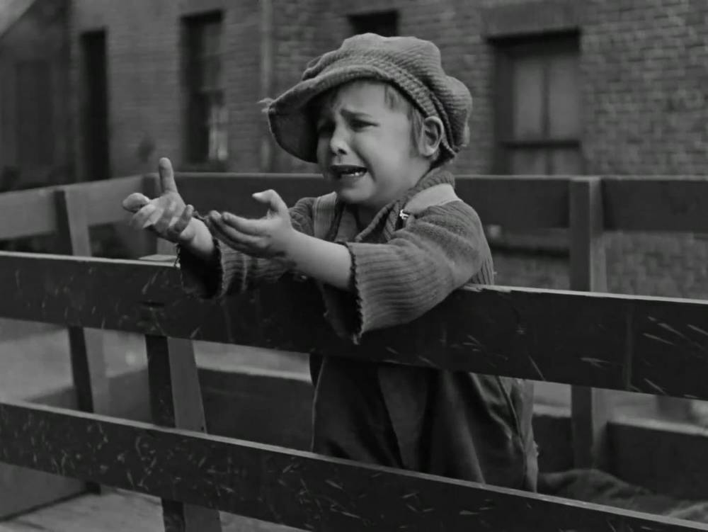 <span  class="uc_style_uc_tiles_grid_image_elementor_uc_items_attribute_title" style="color:#ffffff;">photo film Le Kid 3</span>