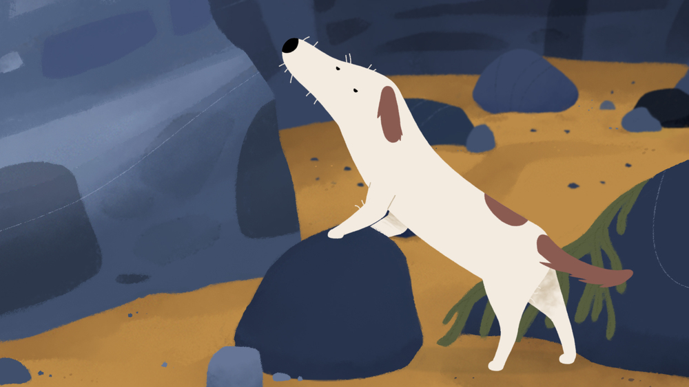 <span  class="uc_style_uc_tiles_grid_image_elementor_uc_items_attribute_title" style="color:#ffffff;">maryanning_photo (6)</span>