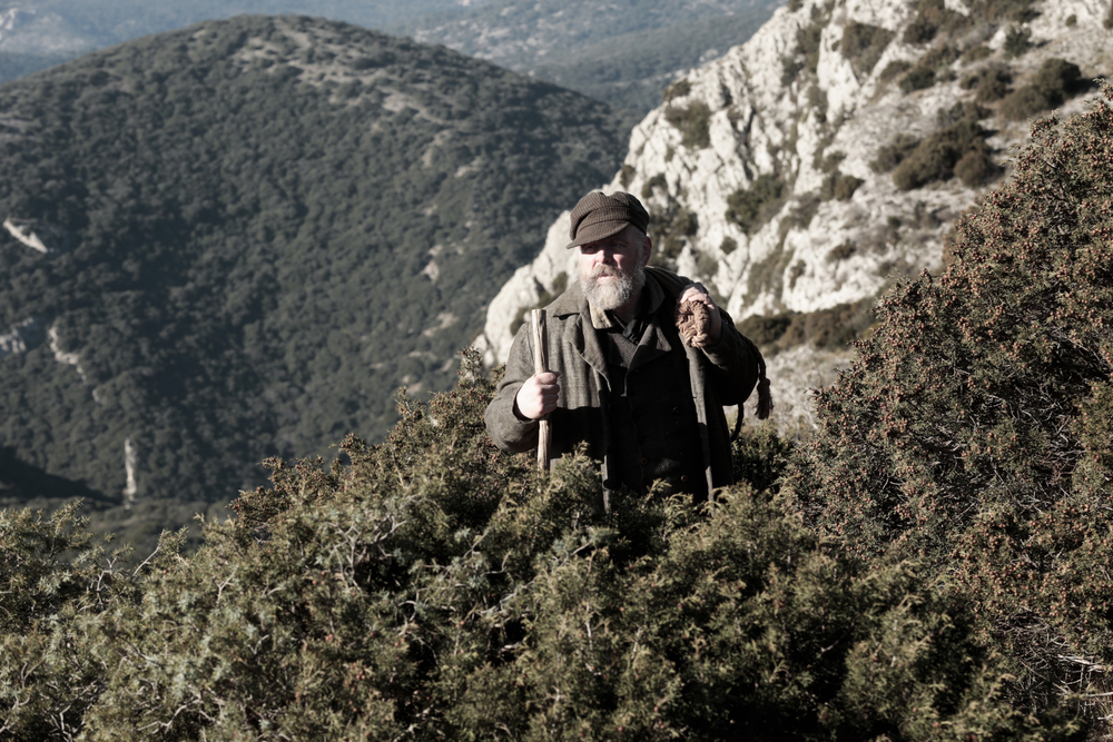 <span  class="uc_style_uc_tiles_grid_image_elementor_uc_items_attribute_title" style="color:#ffffff;">jvaljeanphoto (7)</span>