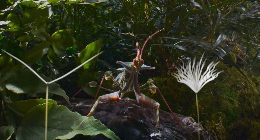 <span  class="uc_style_uc_tiles_grid_image_elementor_uc_items_attribute_title" style="color:#ffffff;">Photo3-film-planetes</span>