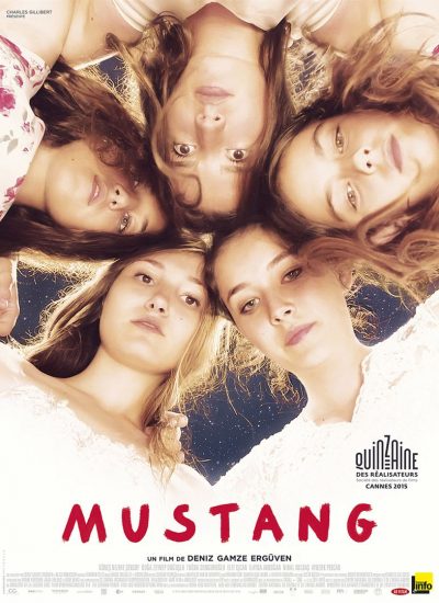 affiche Mustang