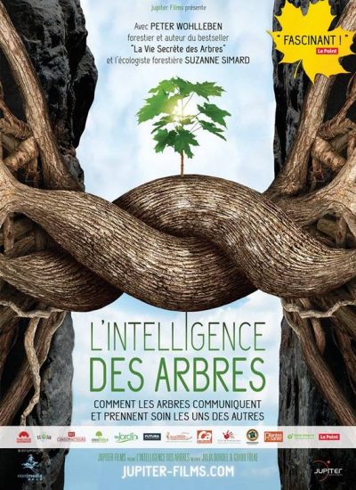affiche film L’intelligence des arbres